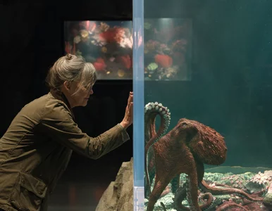 Miniatura: Masowy płacz przy nowym filmie Netfliksa....